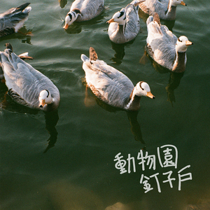 影音先锋在线观看视频
