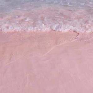 影音先锋在线观看视频
