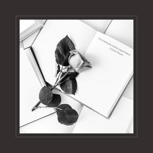 影音先锋在线观看视频
